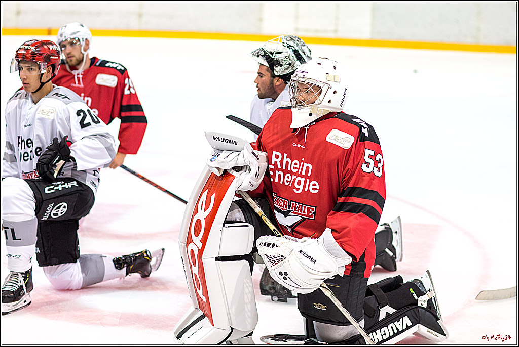 1. offizielles Training der Koelner Haie, 05.08.2018